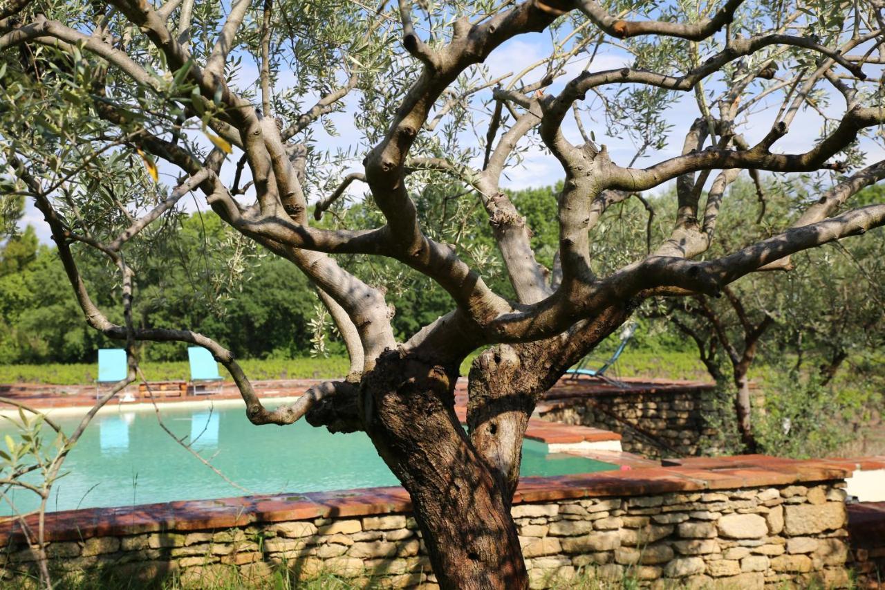 Gite Des Amis Domaine De Mas Caron Caromb Bagian luar foto