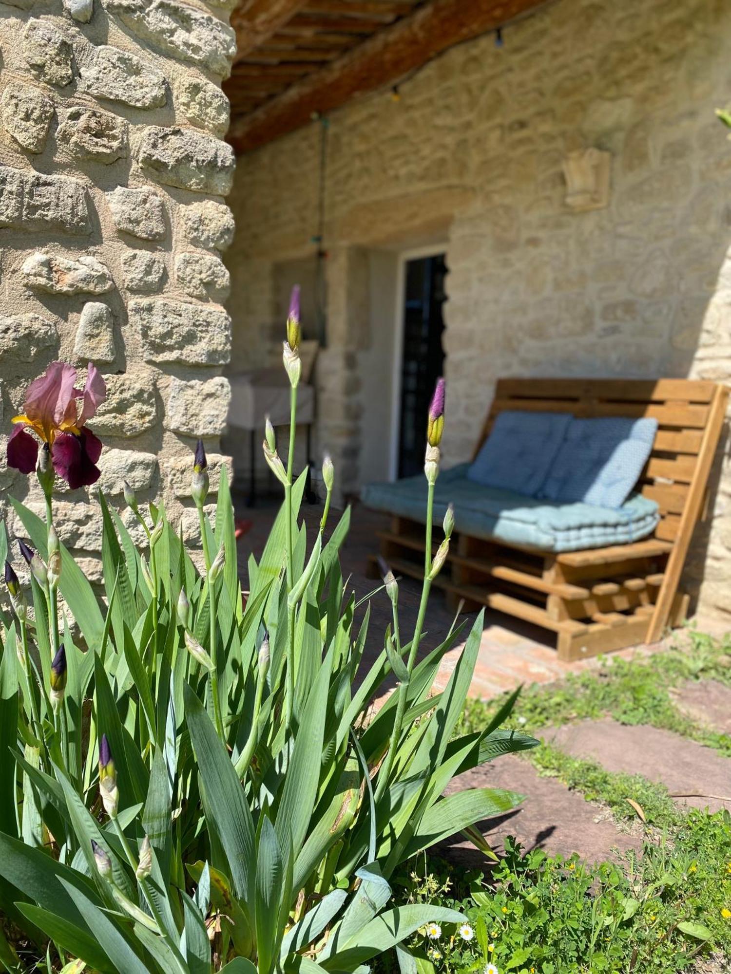 Gite Des Amis Domaine De Mas Caron Caromb Bagian luar foto
